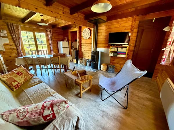 Living room with wood stove, sofa and television